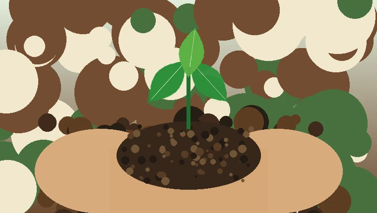Small green sapling growing from soil